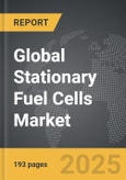 Stationary Fuel Cells - Global Strategic Business Report- Product Image