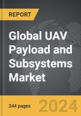 UAV Payload and Subsystems - Global Strategic Business Report- Product Image