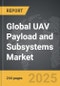 UAV Payload and Subsystems - Global Strategic Business Report - Product Thumbnail Image