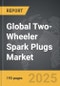 Two-Wheeler Spark Plugs - Global Strategic Business Report - Product Thumbnail Image