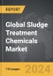 Sludge Treatment Chemicals - Global Strategic Business Report - Product Thumbnail Image