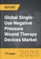 Single-Use Negative Pressure Wound Therapy Devices - Global Strategic Business Report - Product Image