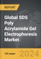 SDS Poly Acrylamide Gel Electrophoresis - Global Strategic Business Report - Product Thumbnail Image