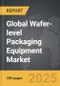 Wafer-level Packaging Equipment : Global Strategic Business Report - Product Thumbnail Image