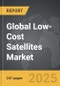 Low-Cost Satellites - Global Strategic Business Report - Product Image