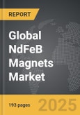 NdFeB Magnets - Global Strategic Business Report- Product Image