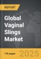 Vaginal Slings: Global Strategic Business Report - Product Thumbnail Image