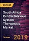 South Africa Central Nervous System Therapeutic Market to 2027 - Regional Analysis and Forecasts by Disease Type; Drug Type; Distribution Channel and Geography - Product Thumbnail Image