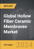 Hollow Fiber Ceramic Membranes: Global Strategic Business Report- Product Image