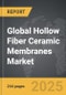 Hollow Fiber Ceramic Membranes - Global Strategic Business Report - Product Thumbnail Image