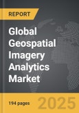 Geospatial Imagery Analytics - Global Strategic Business Report- Product Image