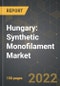 Hungary: Synthetic Monofilament Market and the Impact of COVID-19 in the Medium Term - Product Image