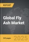 Fly Ash - Global Strategic Business Report - Product Thumbnail Image