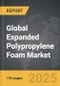 Expanded Polypropylene (EPP) Foam - Global Strategic Business Report - Product Thumbnail Image