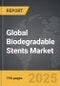 Biodegradable Stents: Global Strategic Business Report - Product Image