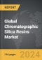Chromatographic Silica Resins - Global Strategic Business Report - Product Thumbnail Image