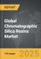 Chromatographic Silica Resins - Global Strategic Business Report - Product Thumbnail Image