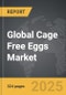 Cage Free Eggs - Global Strategic Business Report - Product Image