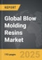 Blow Molding Resins - Global Strategic Business Report - Product Image