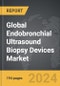Endobronchial Ultrasound Biopsy Devices: Global Strategic Business Report - Product Thumbnail Image