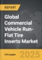 Commercial Vehicle Run-flat Tire Inserts: Global Strategic Business Report - Product Thumbnail Image