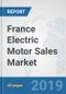 France Electric Motor Sales Market: Prospects, Trends Analysis, Market Size and Forecasts up to 2025 - Product Image