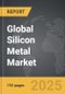 Silicon Metal: Global Strategic Business Report - Product Thumbnail Image