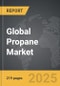 Propane: Global Strategic Business Report - Product Thumbnail Image