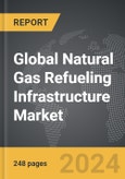 Natural Gas Refueling Infrastructure: Global Strategic Business Report- Product Image