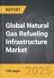 Natural Gas Refueling Infrastructure - Global Strategic Business Report - Product Image