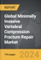 Minimally Invasive Vertebral Compression Fracture Repair - Global Strategic Business Report - Product Thumbnail Image