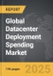 Datacenter Deployment Spending: Global Strategic Business Report - Product Thumbnail Image