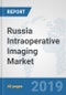 Russia Intraoperative Imaging Market: Prospects, Trends Analysis, Market Size and Forecasts up to 2025 - Product Thumbnail Image