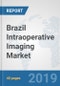 Brazil Intraoperative Imaging Market: Prospects, Trends Analysis, Market Size and Forecasts up to 2025 - Product Thumbnail Image