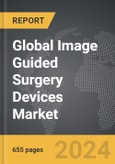 Image Guided Surgery Devices - Global Strategic Business Report- Product Image