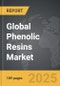 Phenolic Resins - Global Strategic Business Report - Product Thumbnail Image