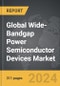 Wide-Bandgap Power (WBG) Semiconductor Devices - Global Strategic Business Report - Product Thumbnail Image