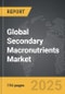 Secondary Macronutrients - Global Strategic Business Report - Product Thumbnail Image