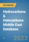 Hydrocarbons & Halocarbons Middle East Database - Product Image
