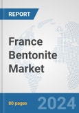 France Bentonite Market: Prospects, Trends Analysis, Market Size and Forecasts up to 2024- Product Image