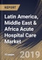 Latin America, Middle East & Africa Acute Hospital Care Market (2019-2025) - Product Thumbnail Image