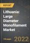 Lithuania: Large Diameter Monofilament Market and the Impact of COVID-19 in the Medium Term - Product Thumbnail Image