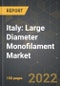 Italy: Large Diameter Monofilament Market and the Impact of COVID-19 in the Medium Term - Product Thumbnail Image