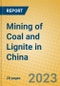 Mining of Coal and Lignite in China - Product Image