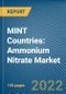 MINT Countries: Ammonium Nitrate (AN) Market - Product Image