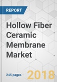 Hollow Fiber Ceramic Membrane Market - Global Industry Analysis, Size, Share, Growth, Trends, and Forecast 2016-2025- Product Image