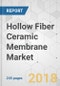 Hollow Fiber Ceramic Membrane Market - Global Industry Analysis, Size, Share, Growth, Trends, and Forecast 2016-2025 - Product Thumbnail Image