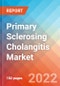 Primary Sclerosing Cholangitis (PSC) - Market Insight, Epidemiology And Market Forecast - 2032 - Product Image