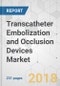 Transcatheter Embolization and Occlusion Devices Market - Global Industry Analysis, Size, Share, Growth, Trends, and Forecast 2018-2026 - Product Thumbnail Image