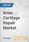 Knee Cartilage Repair Market - Global Industry Analysis, Size, Share, Growth, Trends, and Forecast 2018-2026 - Product Image